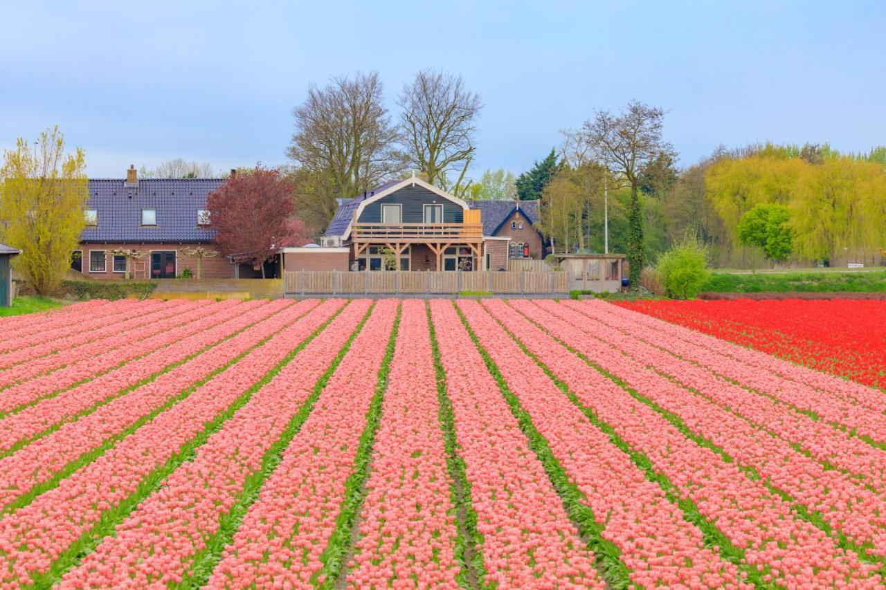 B&B Blossom Lisse Eksteriør bilde